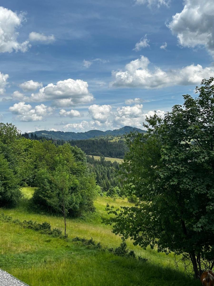 Image 2 of Áčko