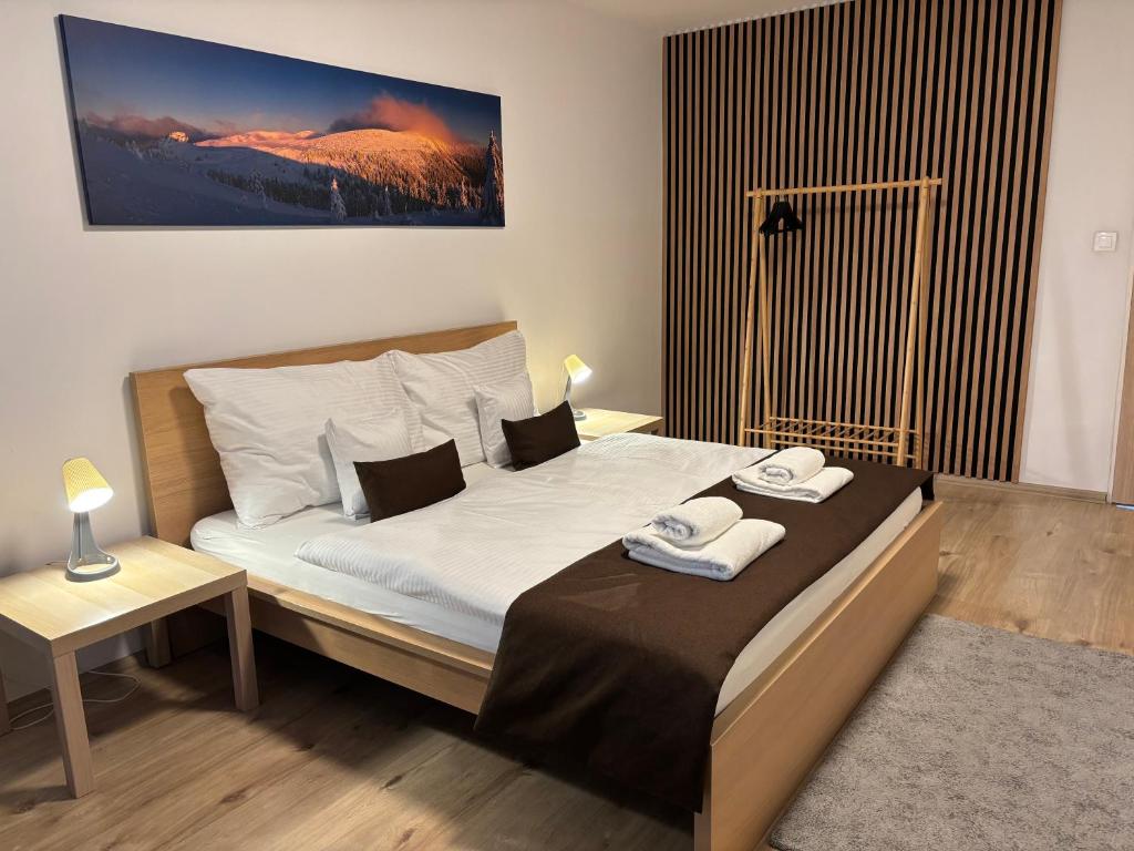 Image 1 of Apartmán Centrum Komfort FREE PRIVATE PARKING
