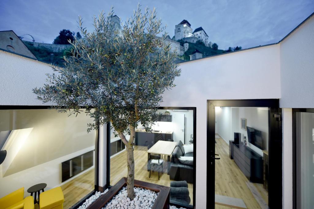 Image 1 of Apartmán s átriom v historickom centre