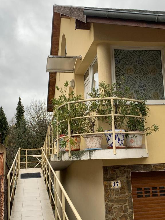 Image 1 of Apartmán u Doktora