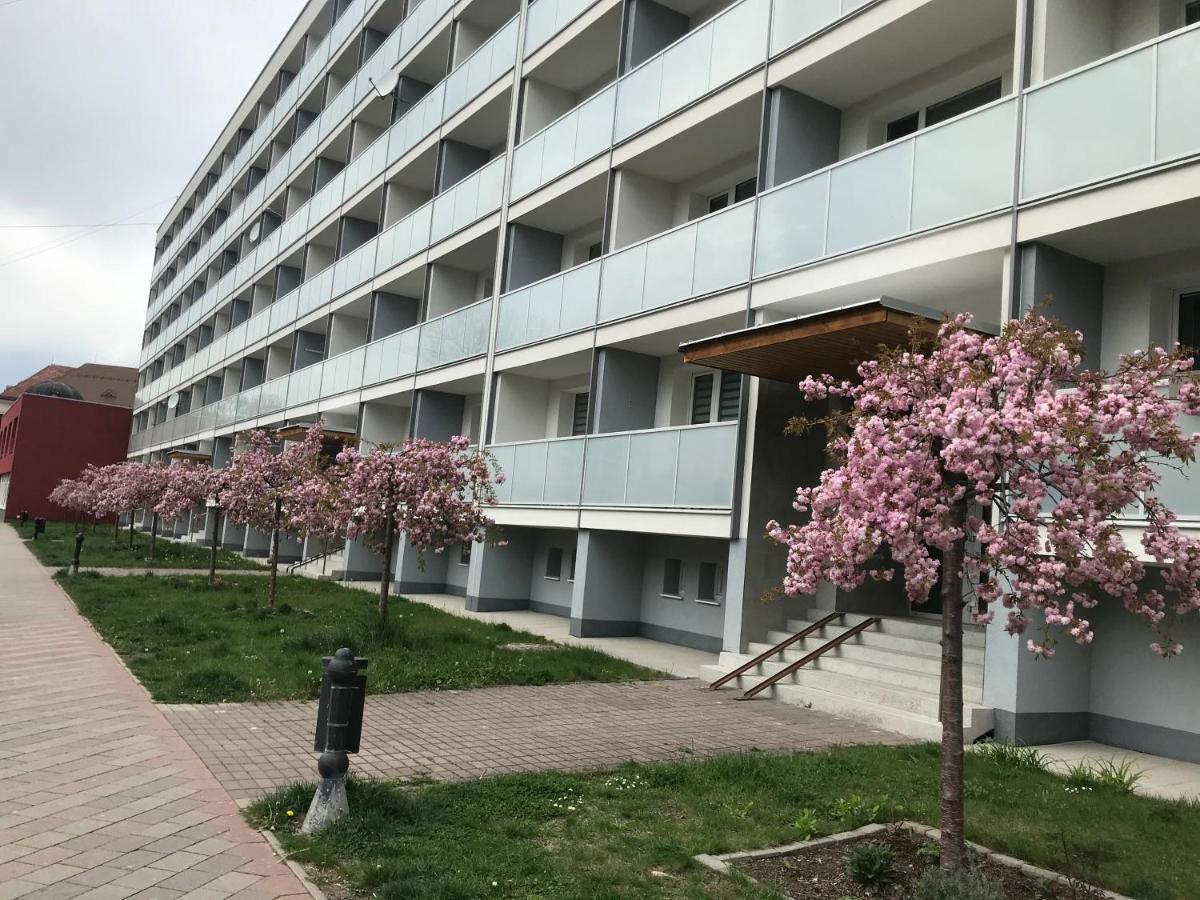Image 5 of Apartmán u Jána