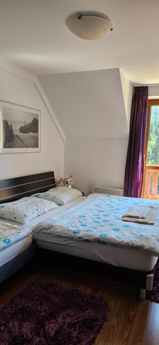 Image 2 of Apartmánový dom Kamzík,Donovaly, apartmány a štúdiá