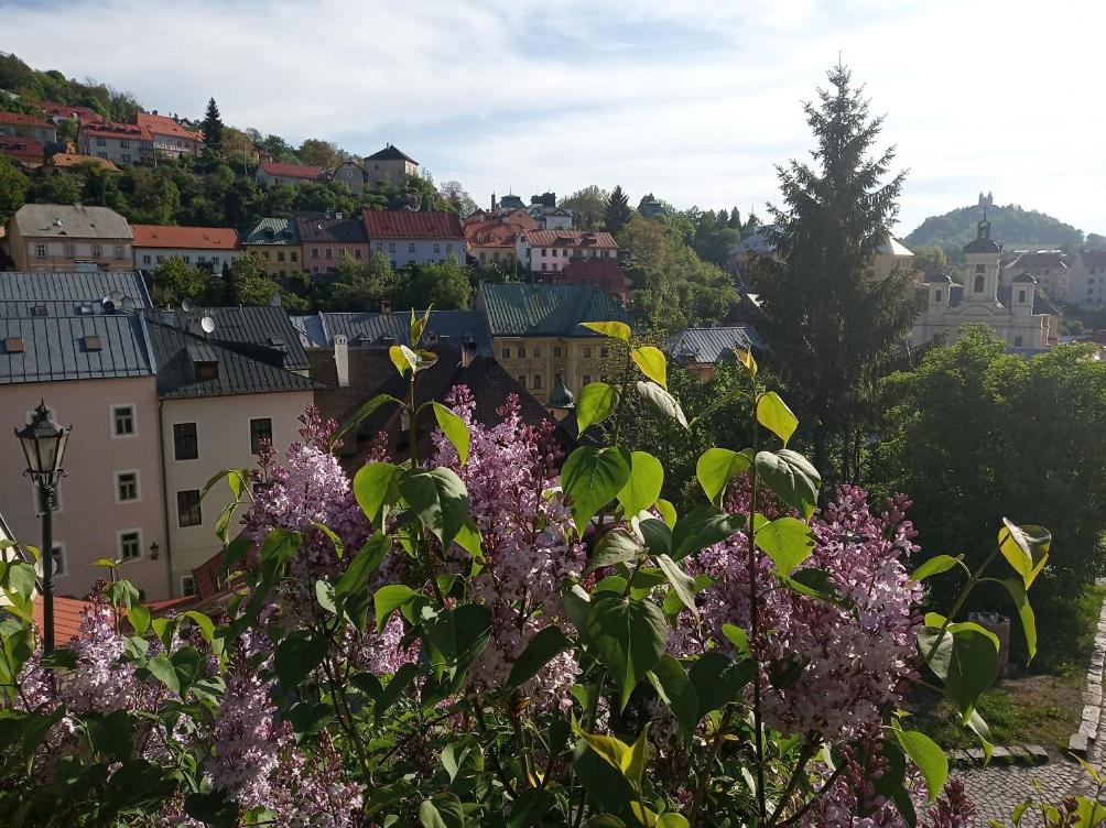 Image 5 of Apartment Melita – The very centre of town