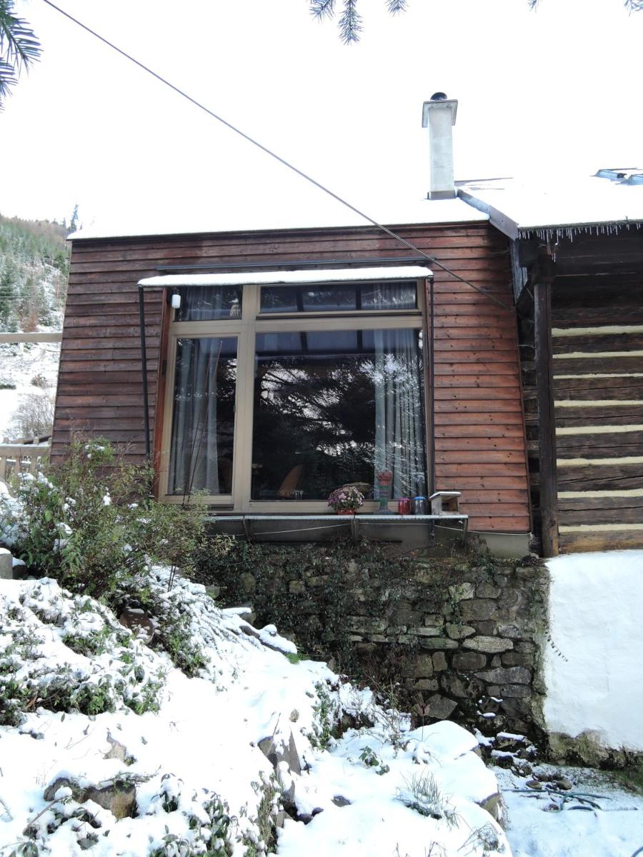Image 4 of Atelier Eliska