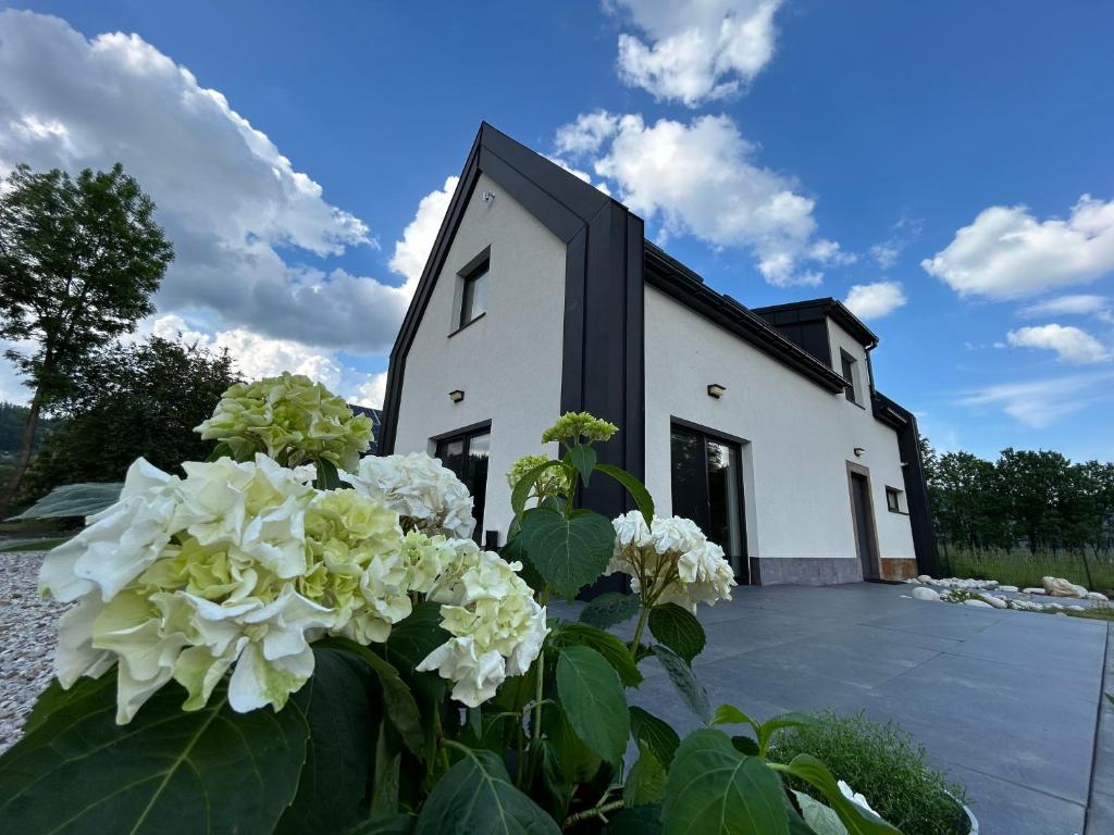 Image 1 of BLACK & WHITE HOUSES