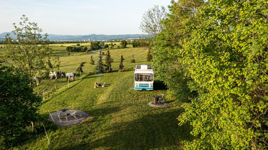 Image 1 of Bus Ikarus