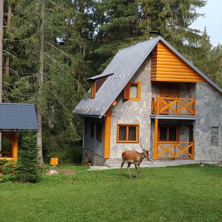 Image 1 of Chata Tatry