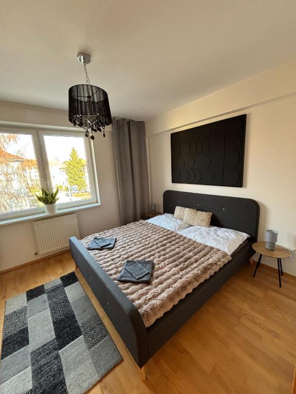 Image 1 of Domus Apartment