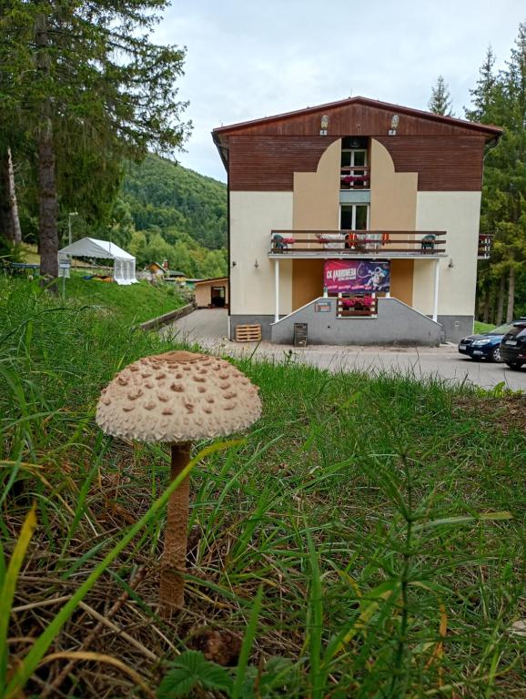 Image 1 of Horský Hotel Magura