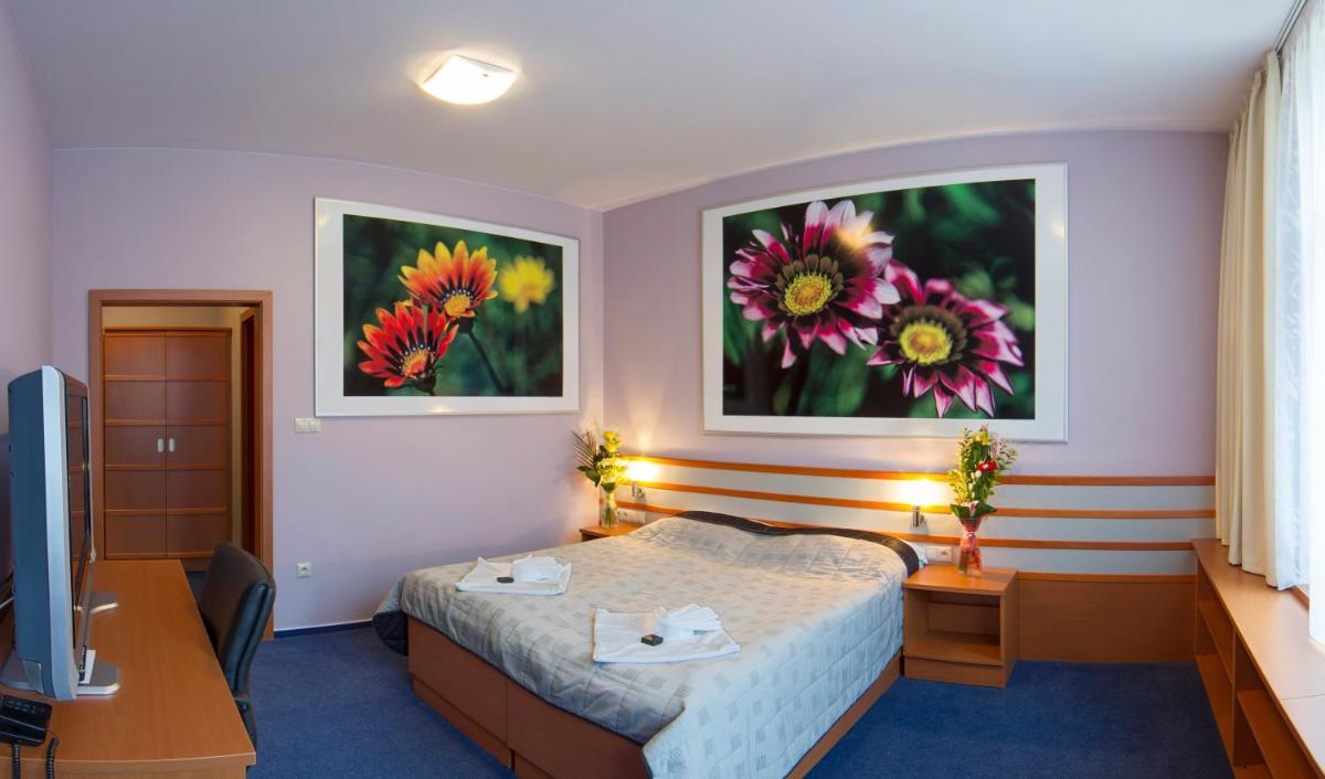 Image 4 of Hotel Air