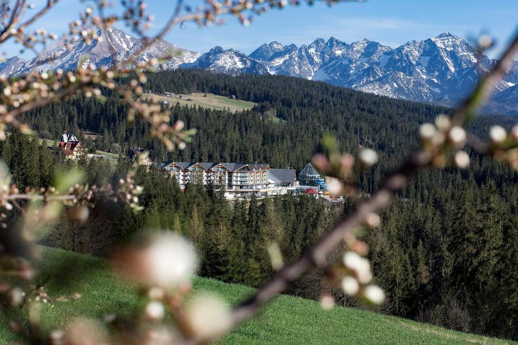 Image 1 of Hotel BUKOVINA