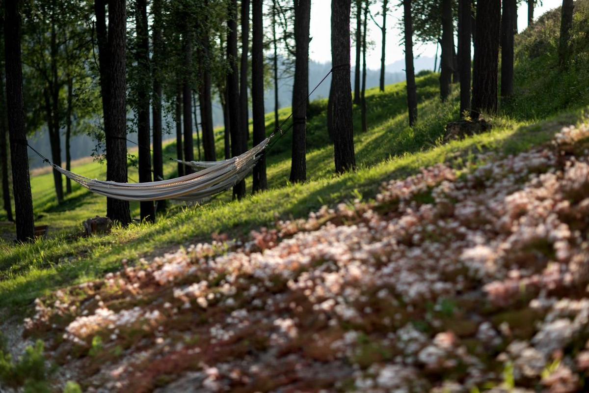 Image 3 of Hotel HARNAŚ dla dorosłych z widokiem na Tatry – Adults only