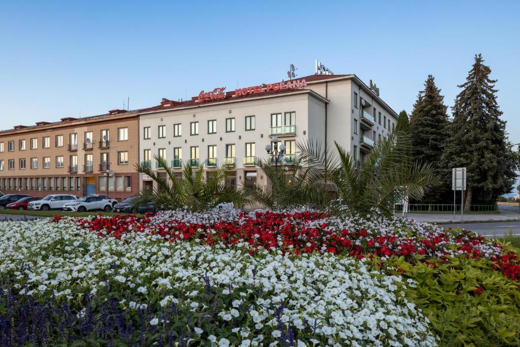 Image 1 of Hotel Polana