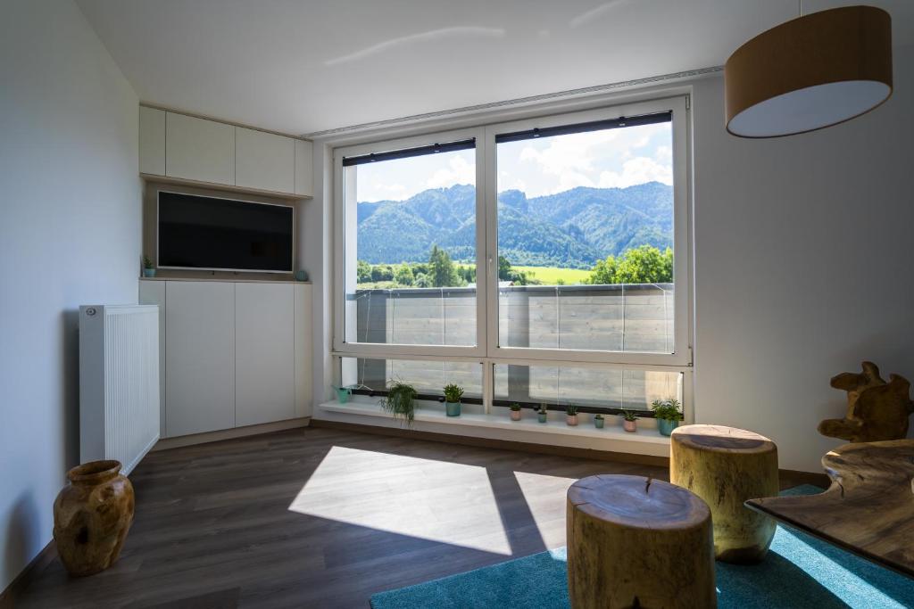 Image 1 of Luxury Mountain View Apartment
