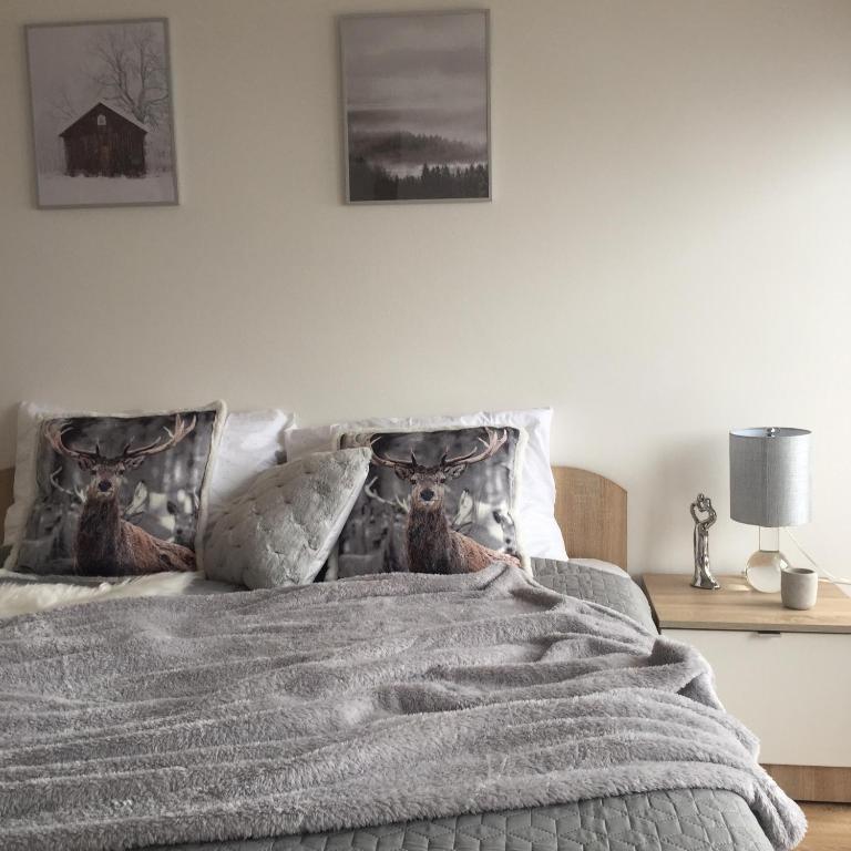 Image 1 of PIĘKNE MIEJSCA apartament z widokiem na góry – APARTZAKOP