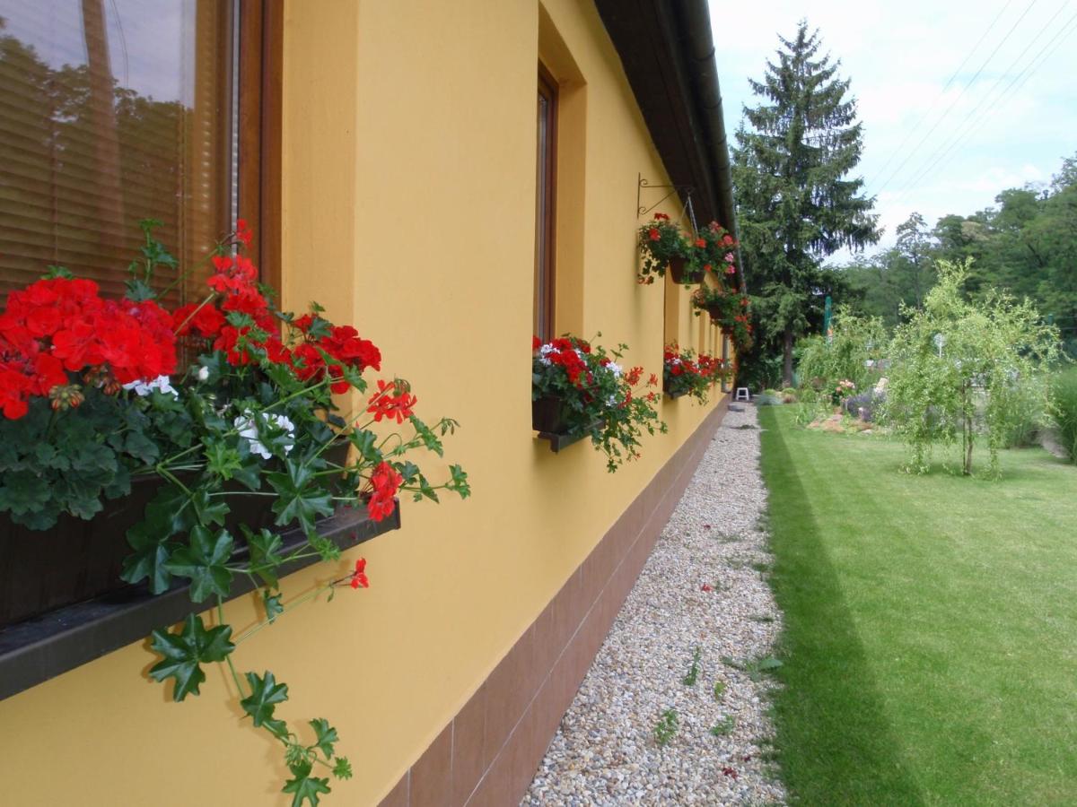 Image 5 of Penzion JaRo