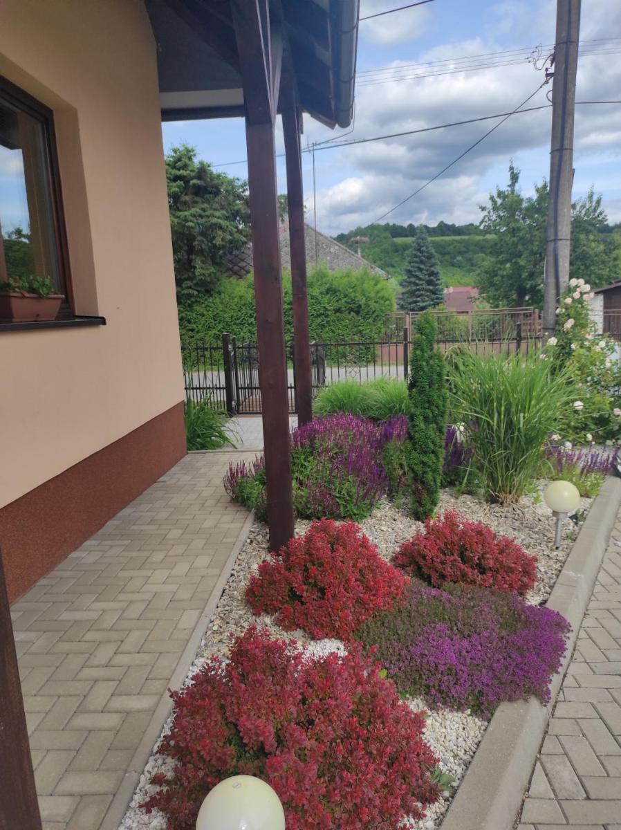 Image 5 of Poloninka
