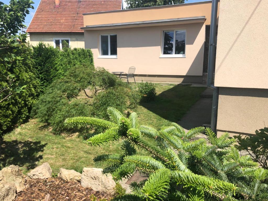 Image 1 of Relax 38