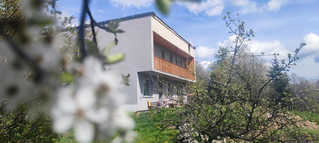 Image 1 of Ružová Vila