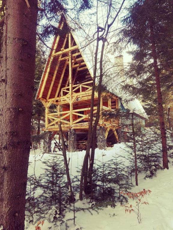 Image 1 of Ski Lake Cottage Krpáčovo