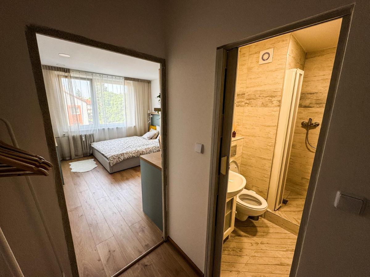 Image 3 of Studio Apartment Trenčín