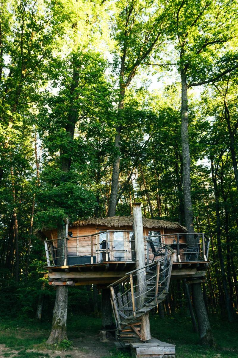 Image 5 of Treehouse Bojnice