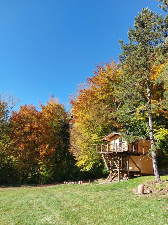 Image 1 of Treetop Tiny House Pod Korunami