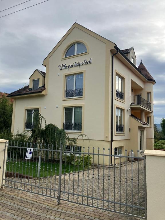 Image 1 of Vila pri kúpeľoch