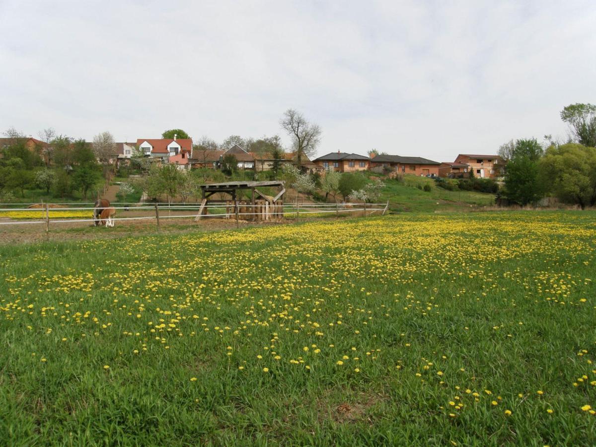 Image 5 of Vinný sklep Kovárna