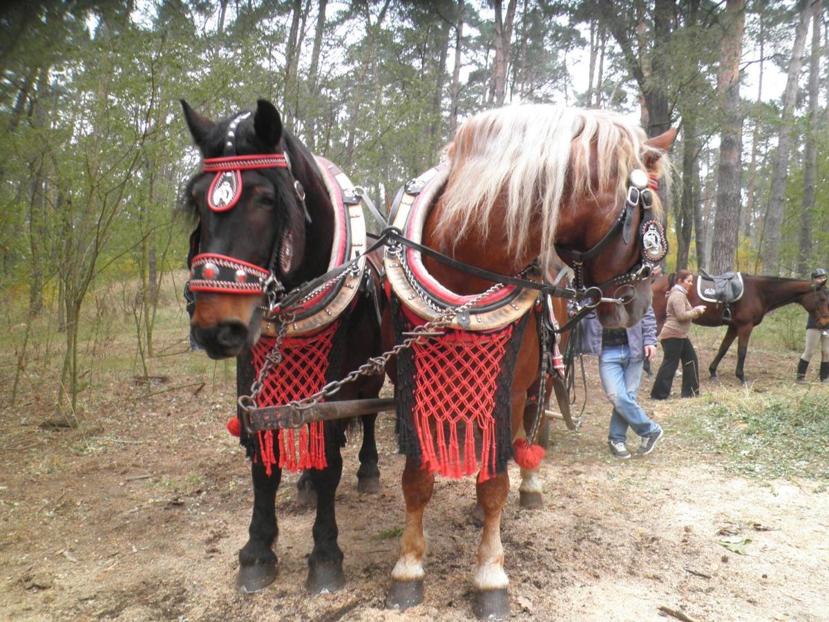 Image 5 of Vinný sklep Kovárna – Nad Presovnou