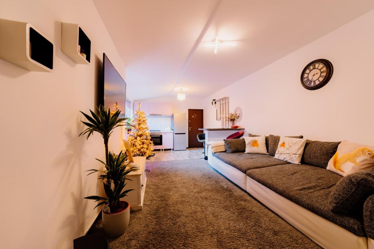 Image 5 of ALBERT RESIDENCE Brasov with complimentary parking off site