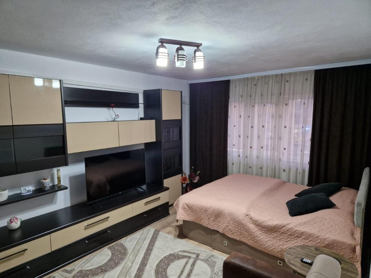 Image 2 of Apartament 2 camere Campulung Muscel