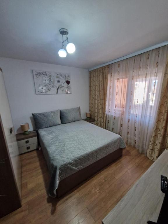Image 1 of Apartament 2 camere Campulung Muscel