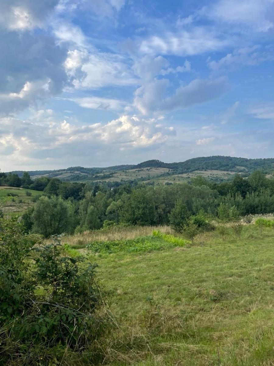 Image 4 of BerryWood