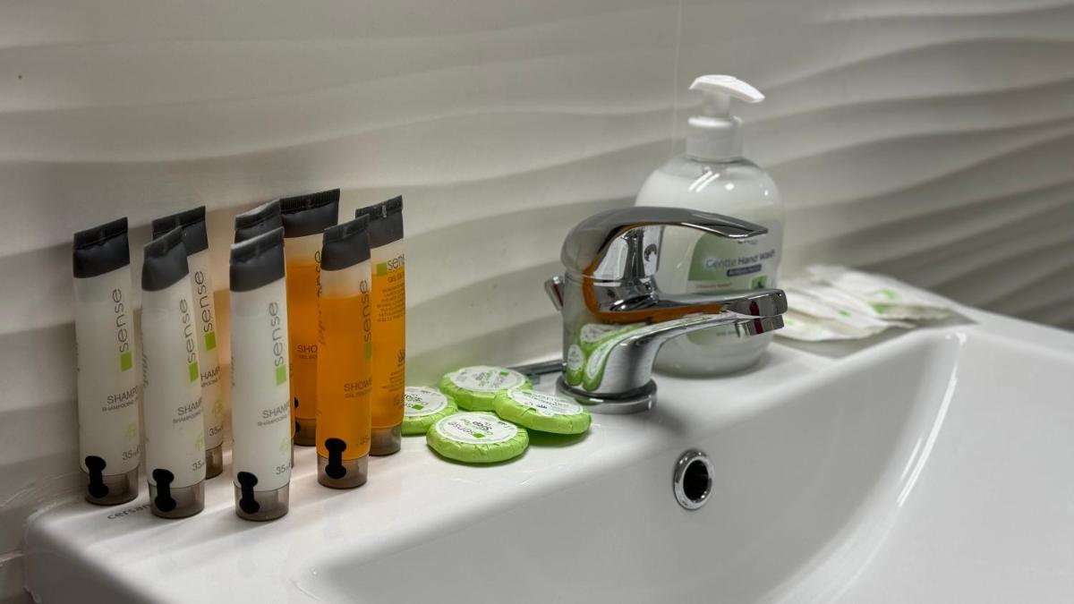 Image 3 of Busteni Mountain View Suites by the River – EV Plug