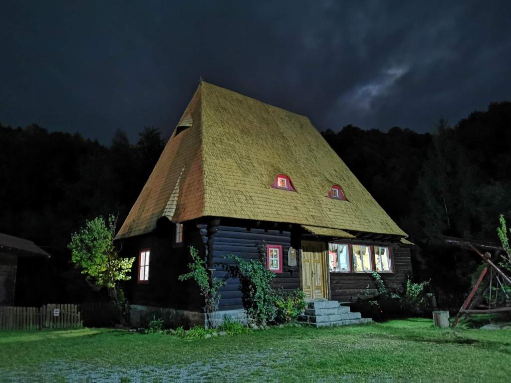 Image 1 of Cabana Iubu