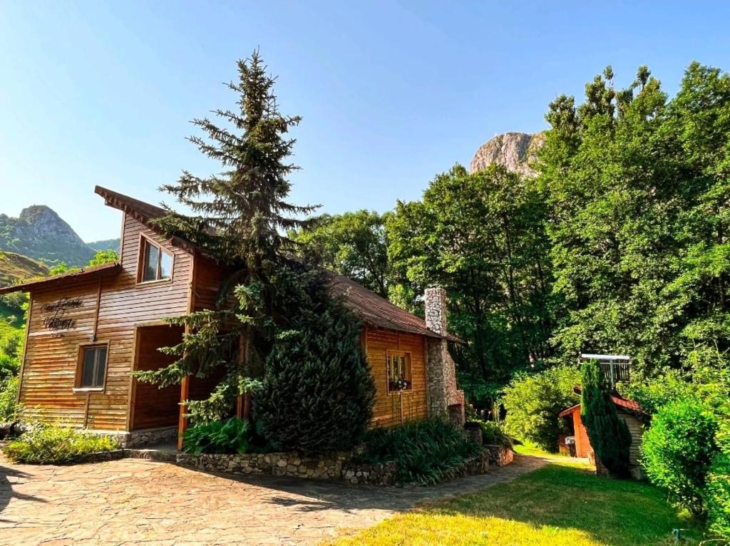 Image 1 of Cabana MIA Valisoara