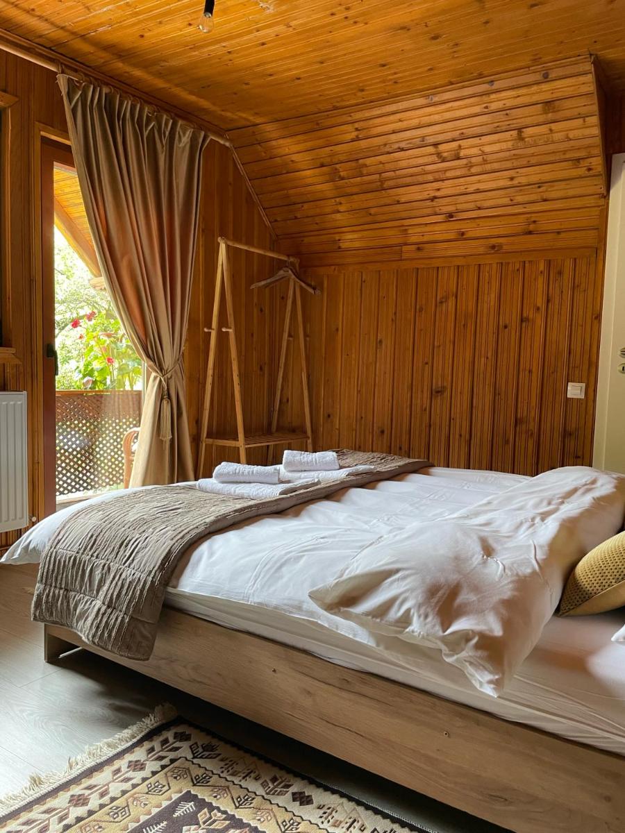 Image 3 of Cabana Mistic