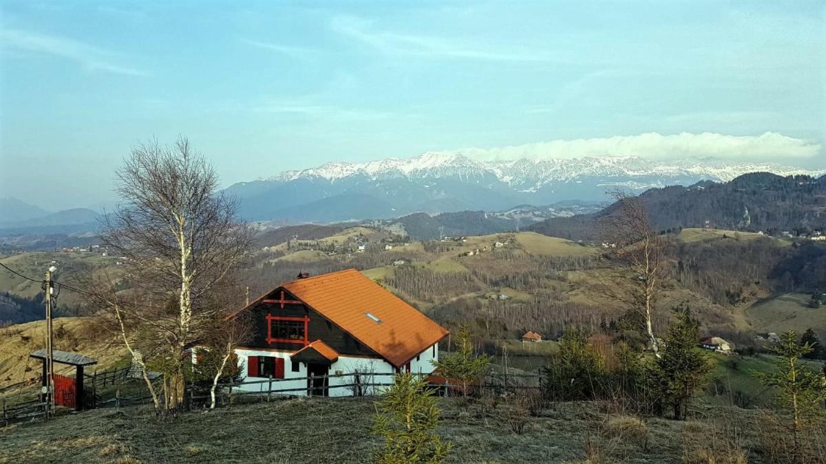 Image 3 of Casa Konigstein