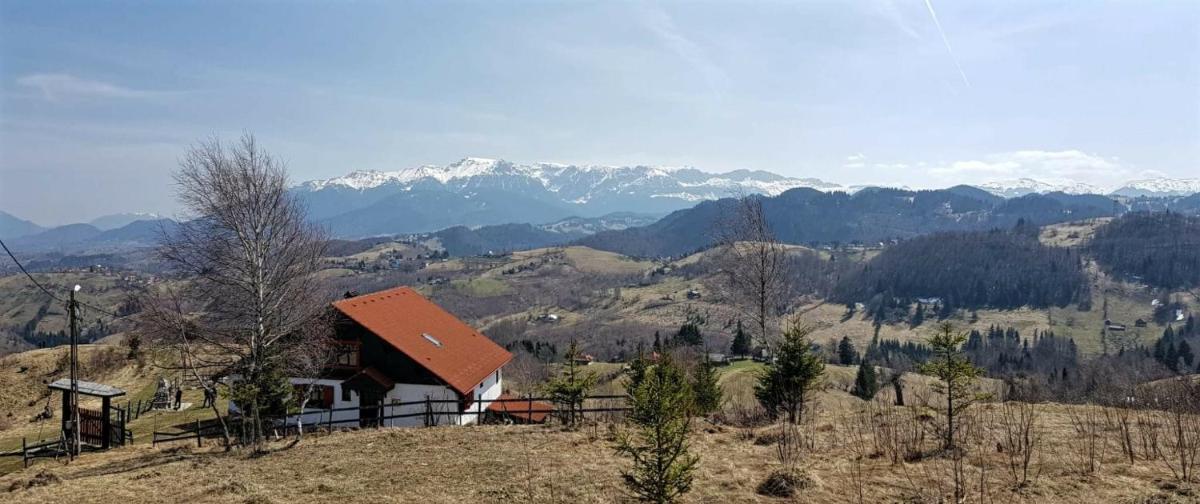 Image 2 of Casa Konigstein