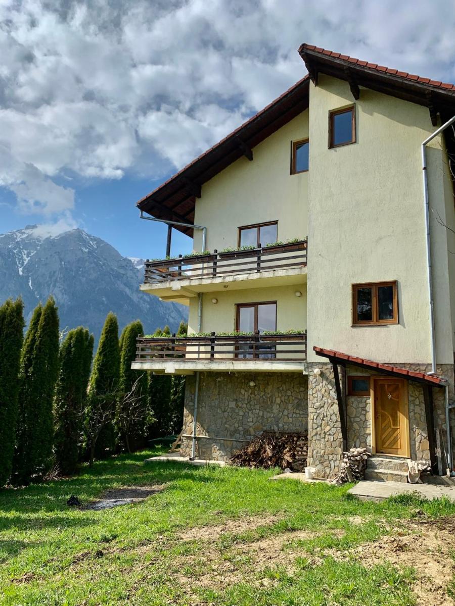 Image 4 of Casa di Panico