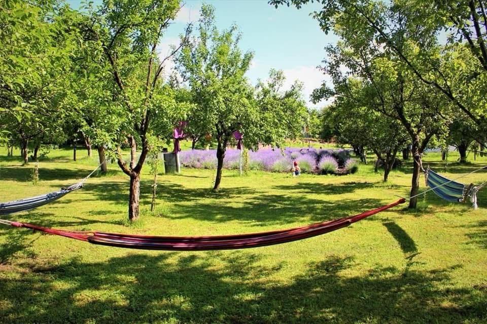 Image 1 of Casa rurală cu livadă LavAndra