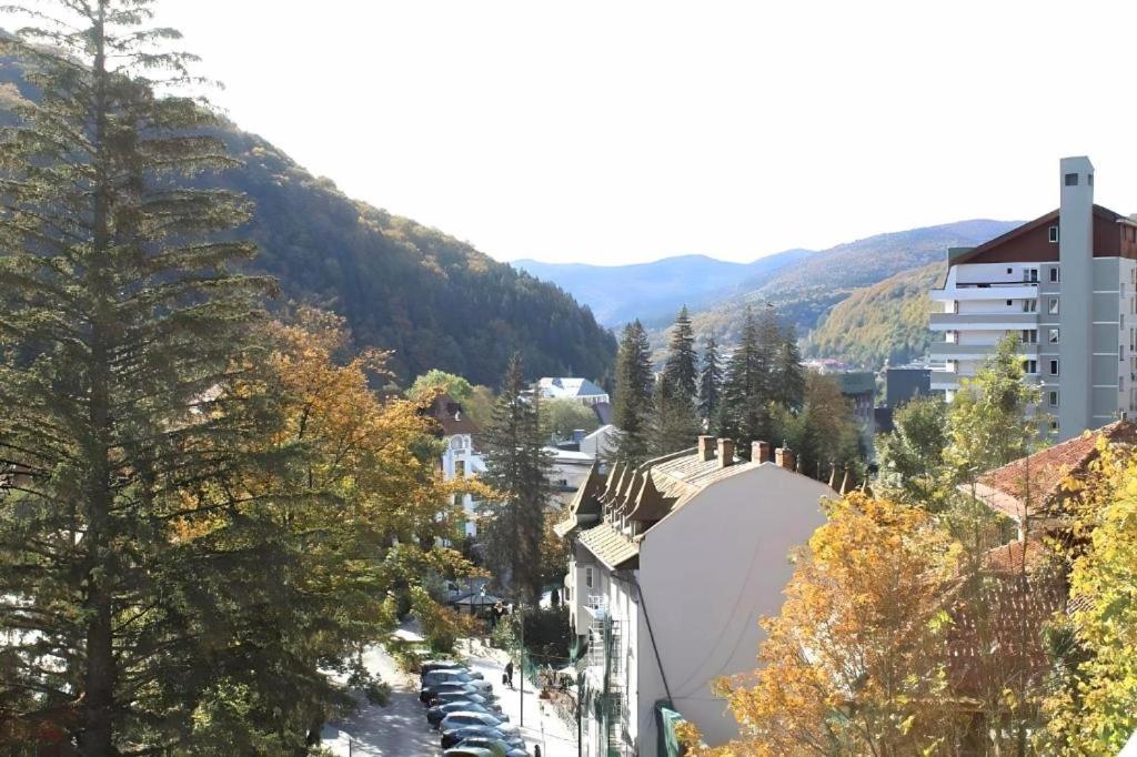 Image 1 of Central Park View Sinaia