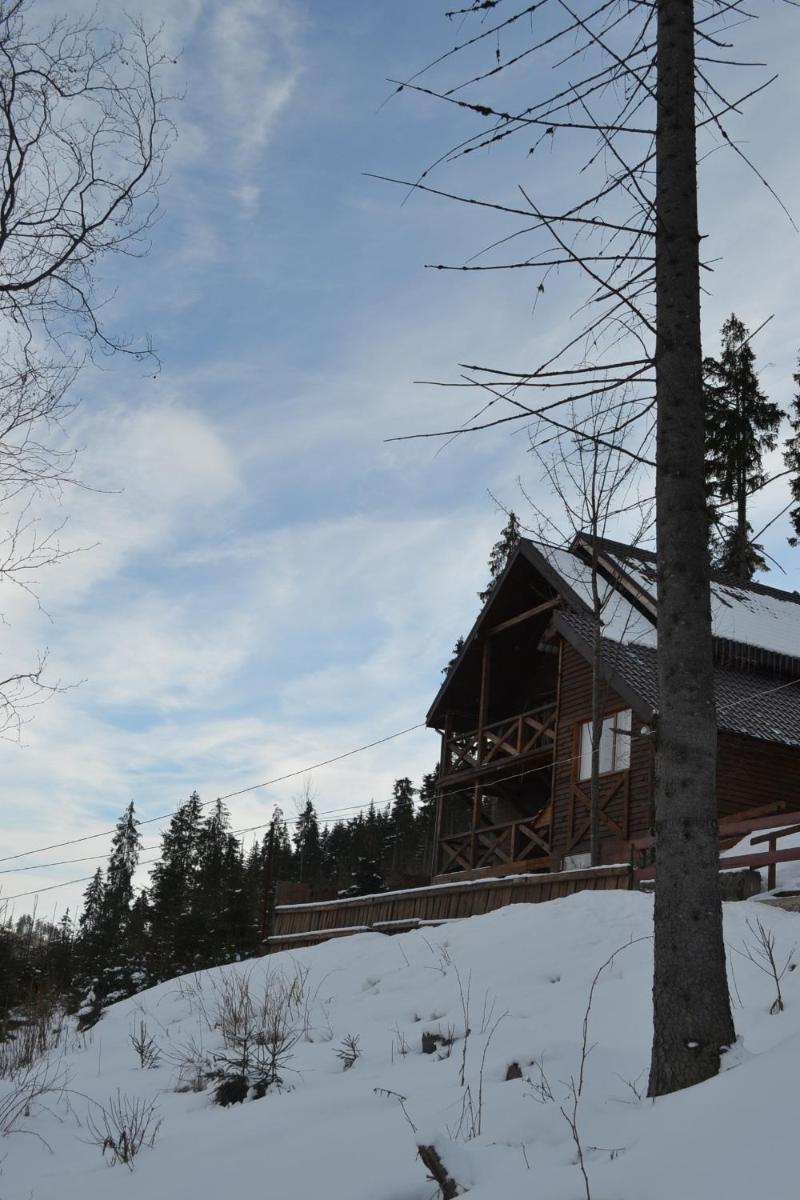 Image 3 of Chalet Shepit Karpat