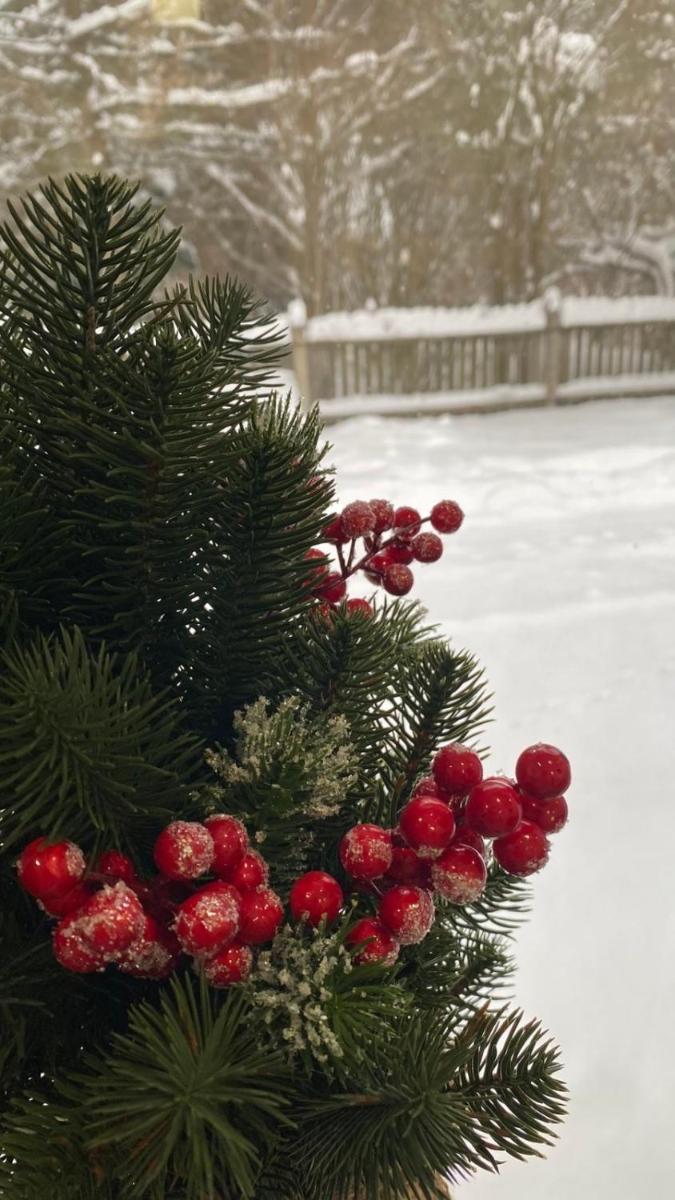 Image 4 of DIM Котедж в Карпатах