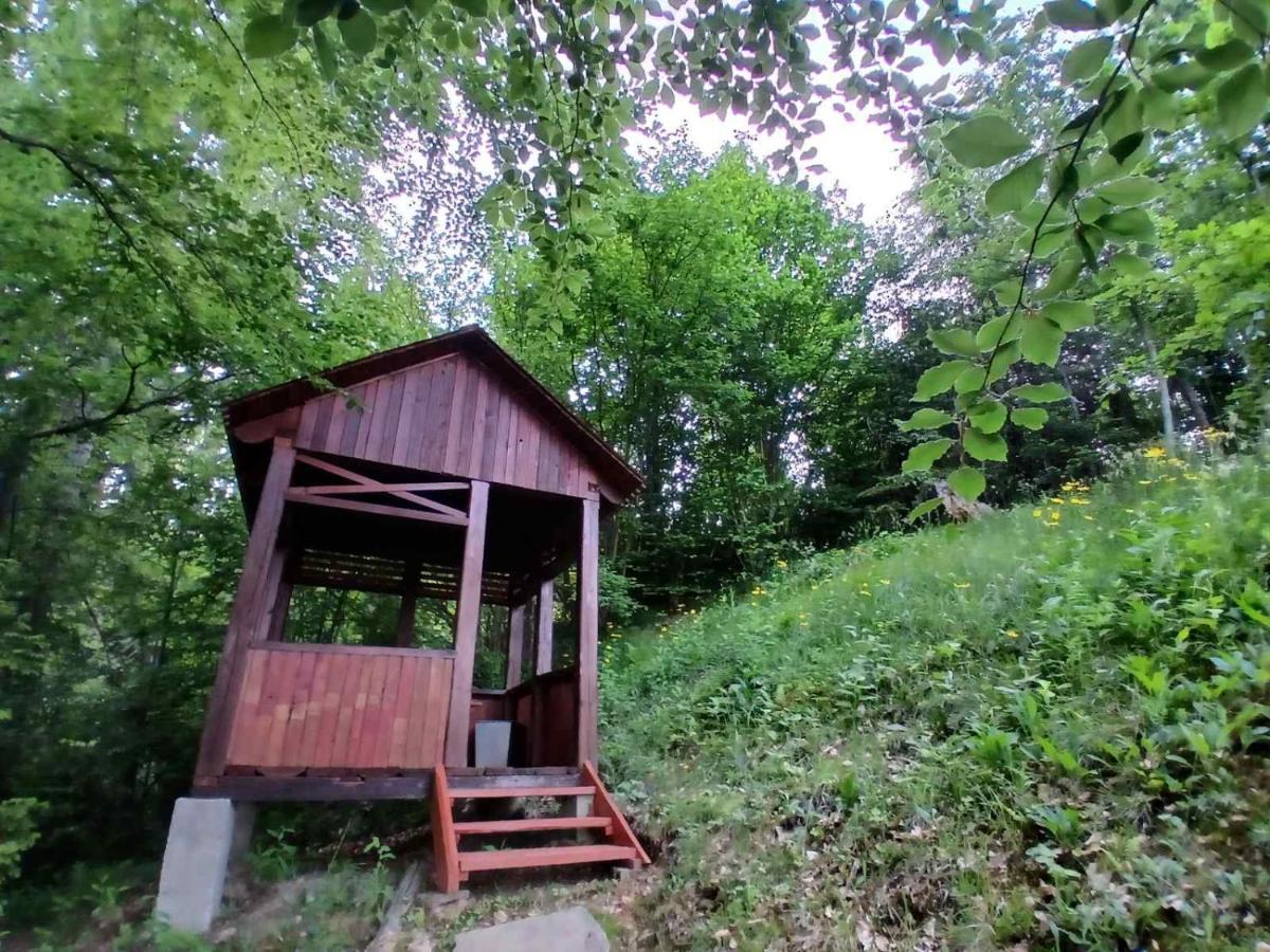 Image 2 of Домашній затишок