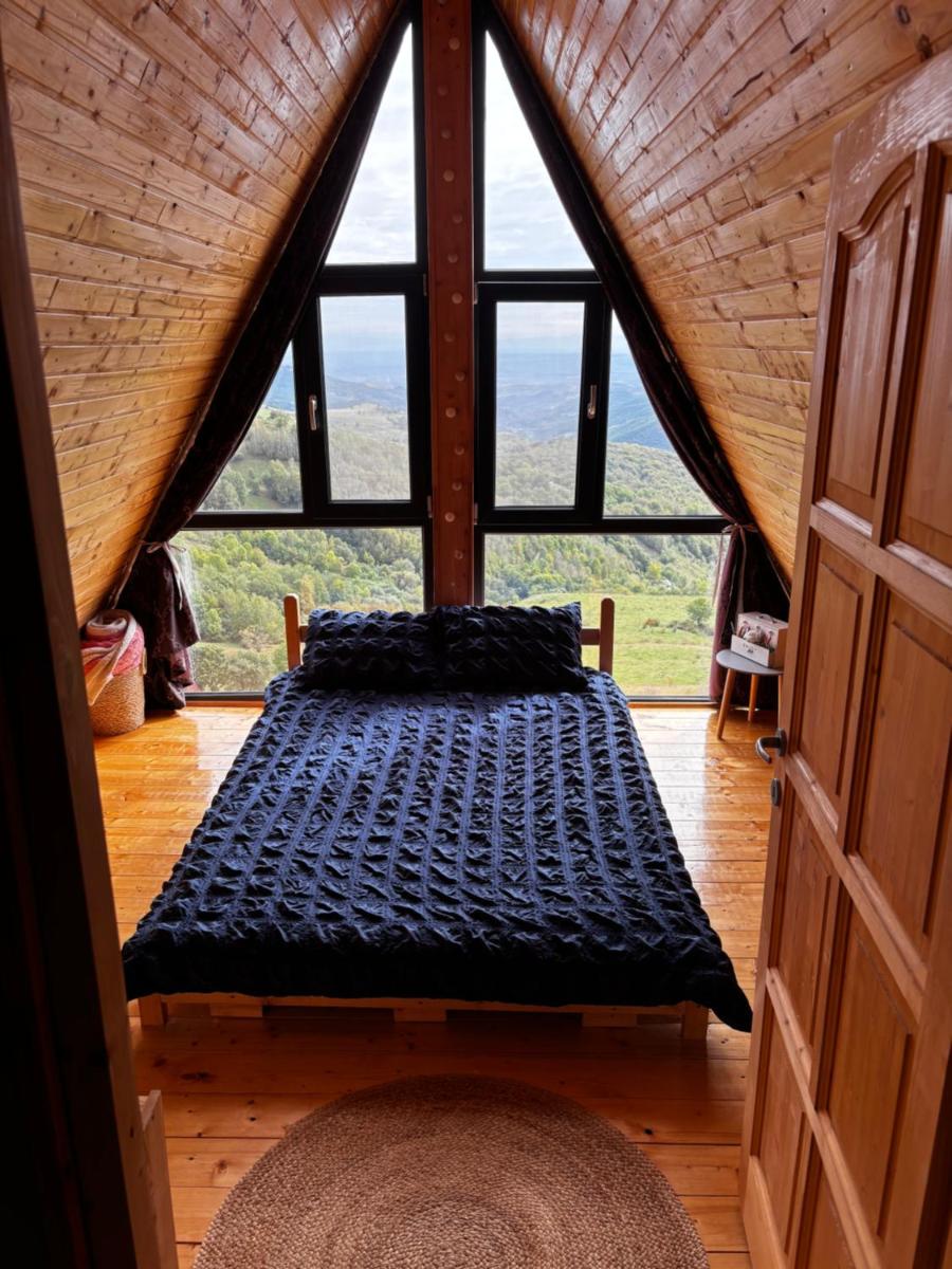 Image 2 of Dream view of Apuseni