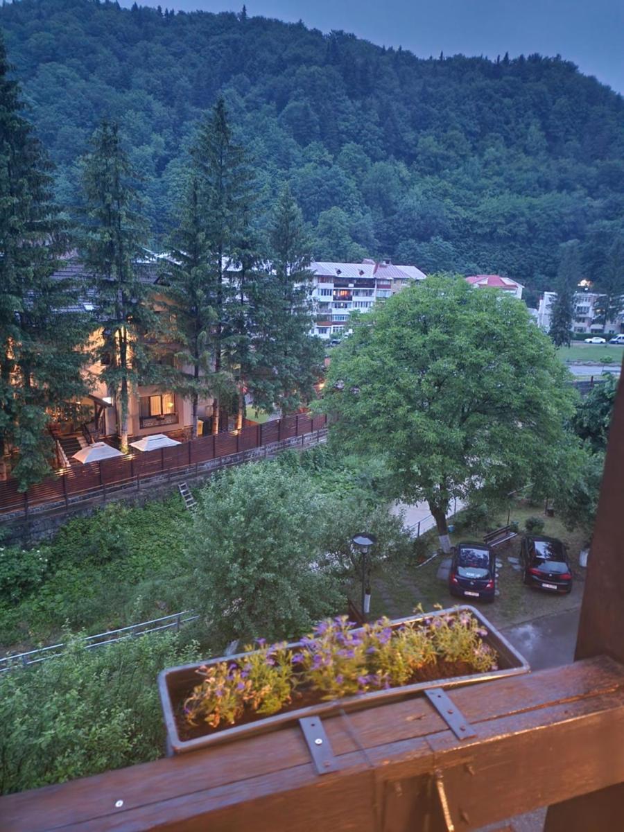 Image 3 of EDWARD RESIDENCE