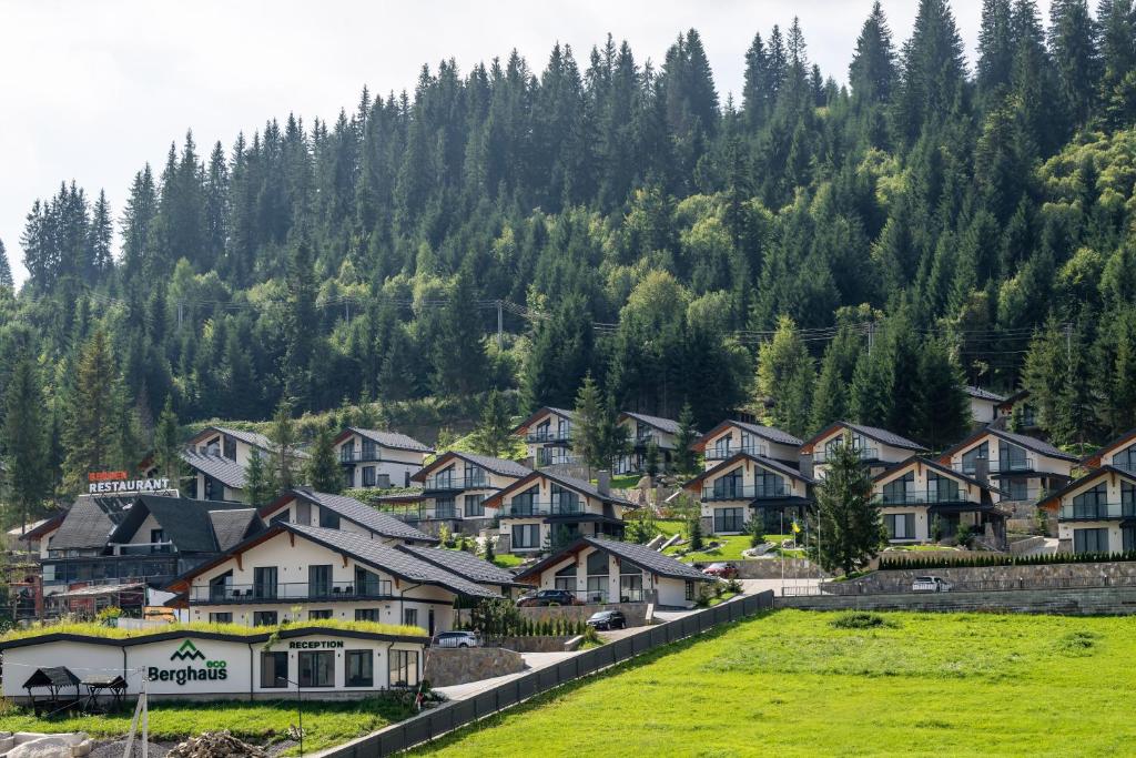 Image 1 of EcoBerghaus – Котеджне містечко