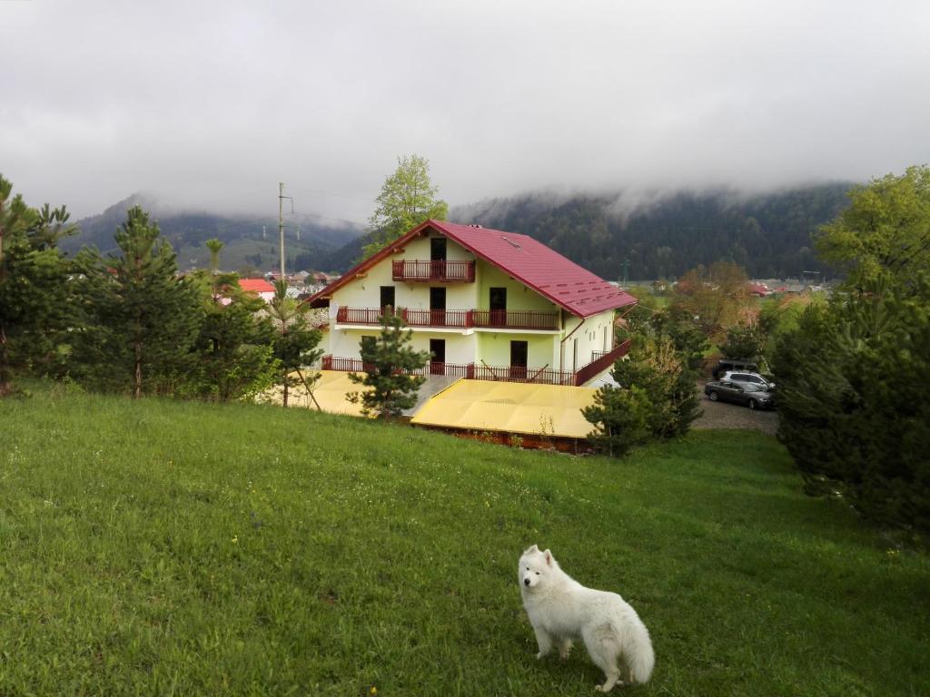 Image 1 of Grandemi Belvedere Bucovina